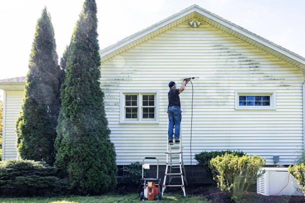 Professional Pressure Washing Services in Grand Point, LA